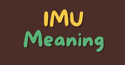 IMU Abbreviation Meaning .